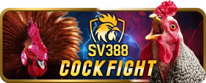 Bước 3: Tham Gia Cá Cược Đá Gà